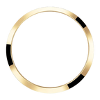 Explorer 36mm 18k Yellow Gold and Stainless steel (2024) 124273-0001