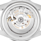 Seadweller Deepsea Black Dial Steel Mens Watch 136660