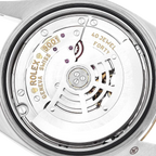 Sky Dweller 42mm Steel Yellow Gold Dial Mens Watch 326933